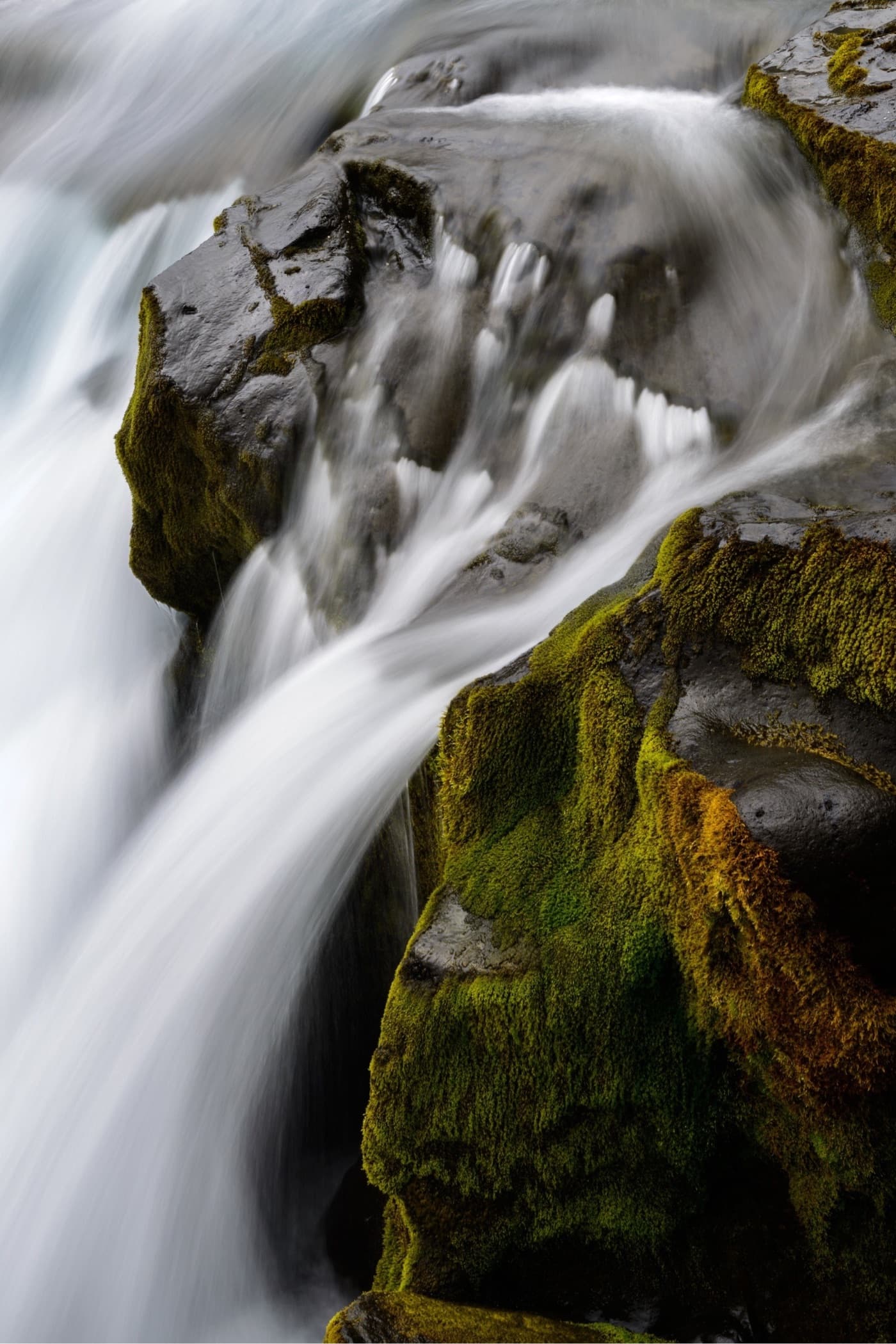 Landscape prints